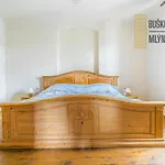 Maison d'hôtes Buskovsky Mlyn 1580 Dolní Bousov