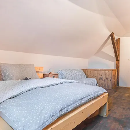 Guest house Buskovsky Mlyn 1580