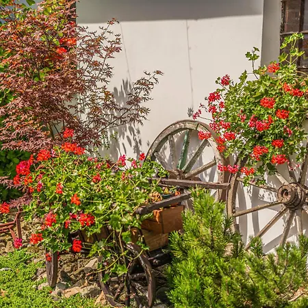 Buskovsky Mlyn 1580 3* Dolní Bousov