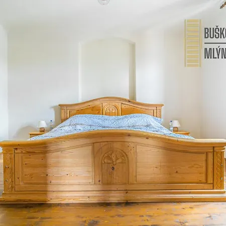 بيت ضيافة Buskovsky Mlyn 1580 Dolní Bousov