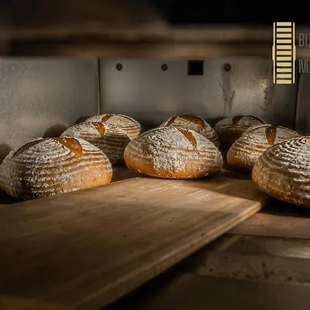 Buskovsky Mlyn 1580 3* Dolní Bousov