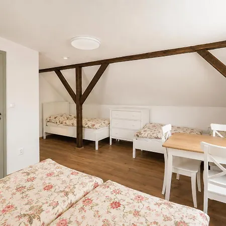 Buskovsky Mlyn 1580 Guest house 3*
