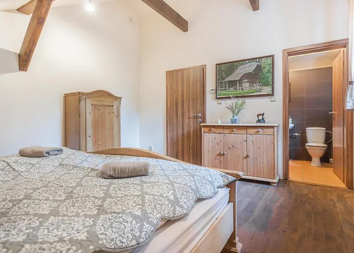 Guest house Buskovsky Mlyn 1580 3*