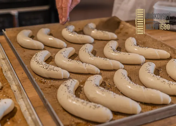 Buskovsky Mlyn 1580 Guest house