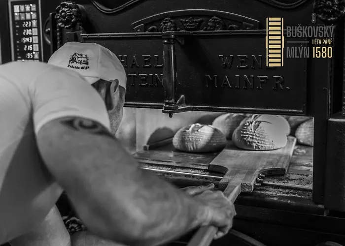 Buskovsky Mlyn 1580 招待所