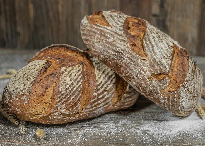 Buskovsky Mlyn 1580 招待所 3*