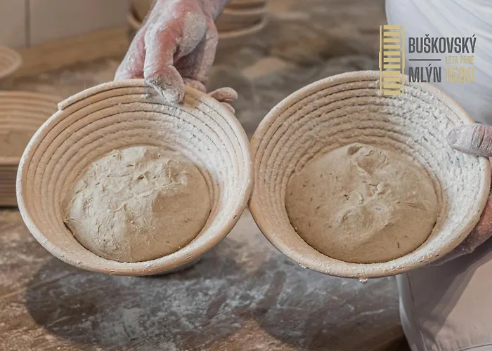 Buskovsky Mlyn 1580 Guest house Dolni Bousov